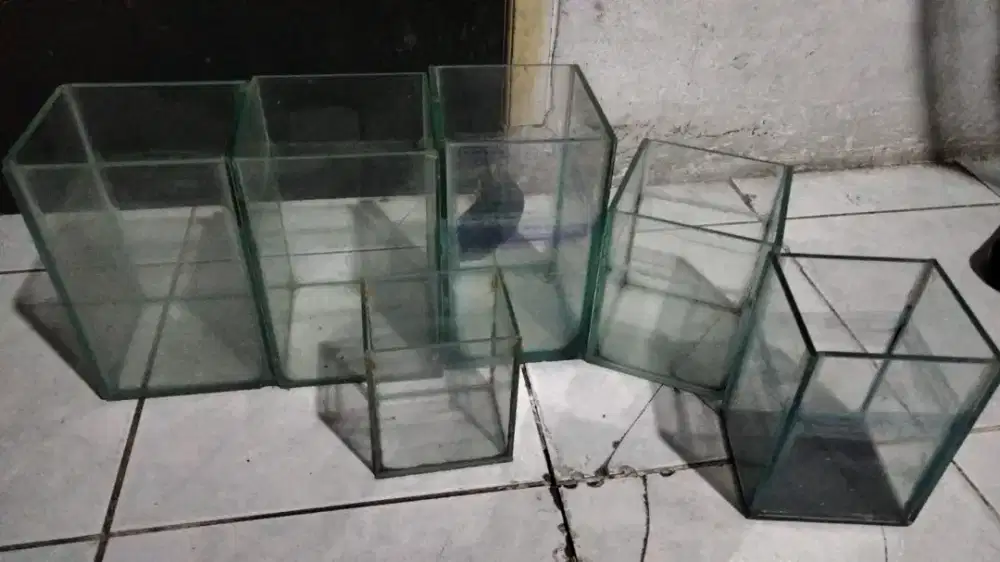 Jual Borongan Aquarium mini bekas Cupang