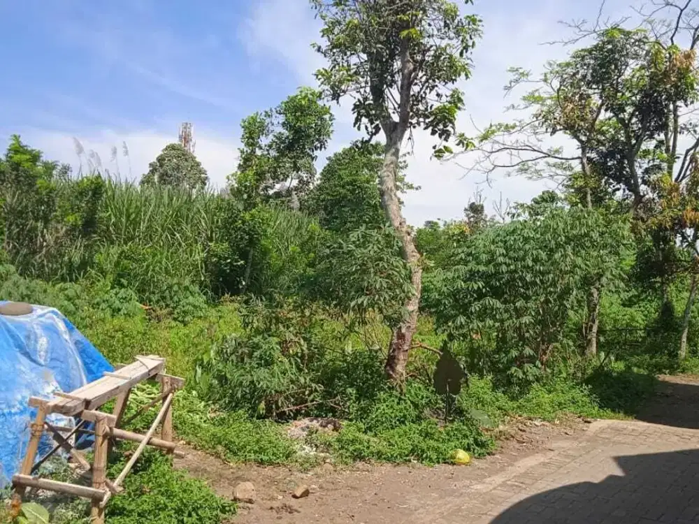Tanah murah Genitri Tirtomoyo Pakis Dijual cepat B.U Poll dekat Araya