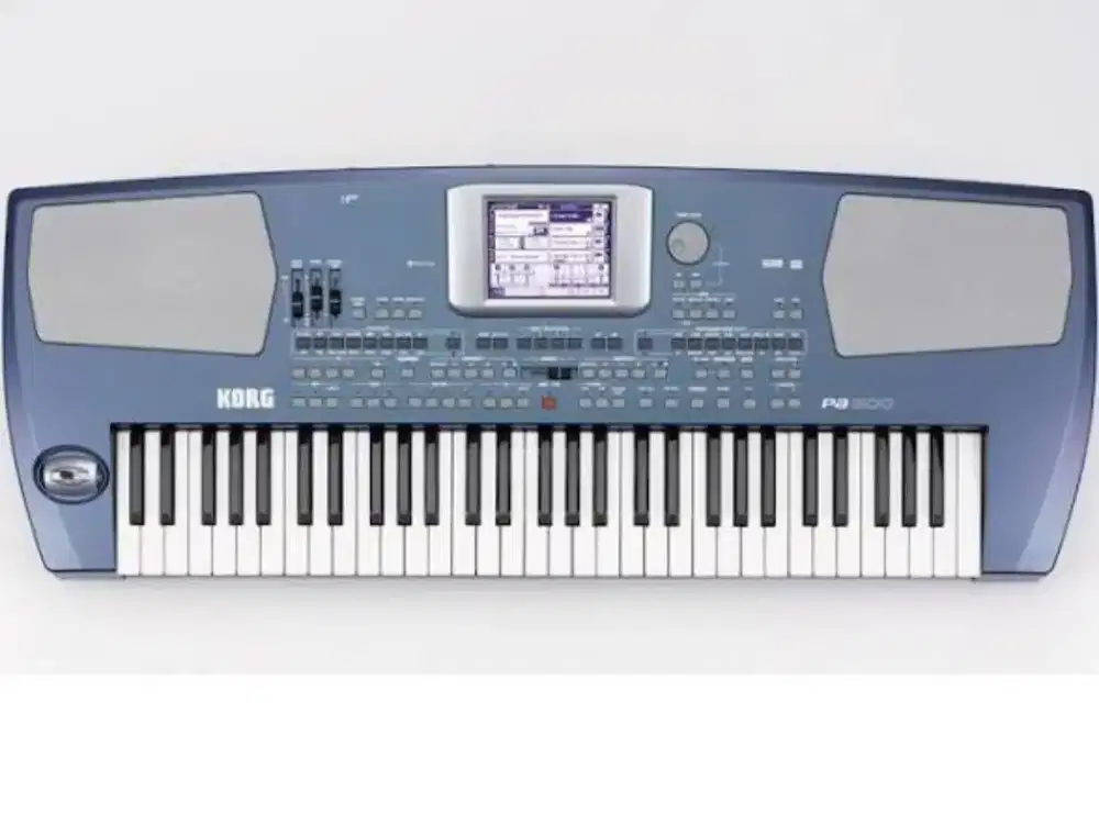 Dicari korg pa500