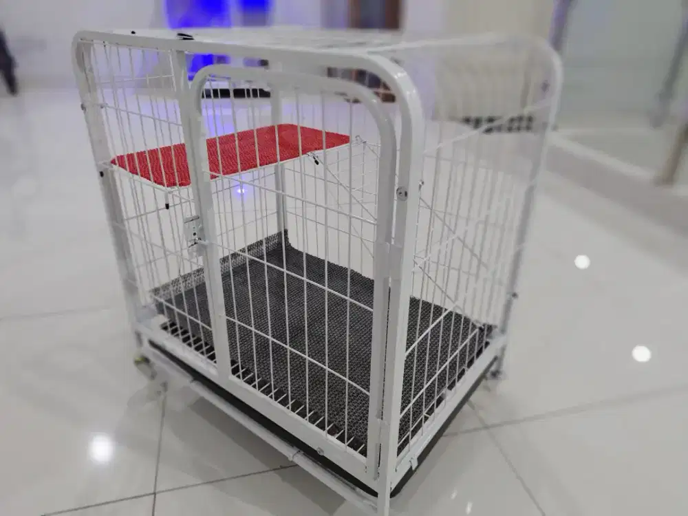 Kandang Kucing/Kitten Kecil