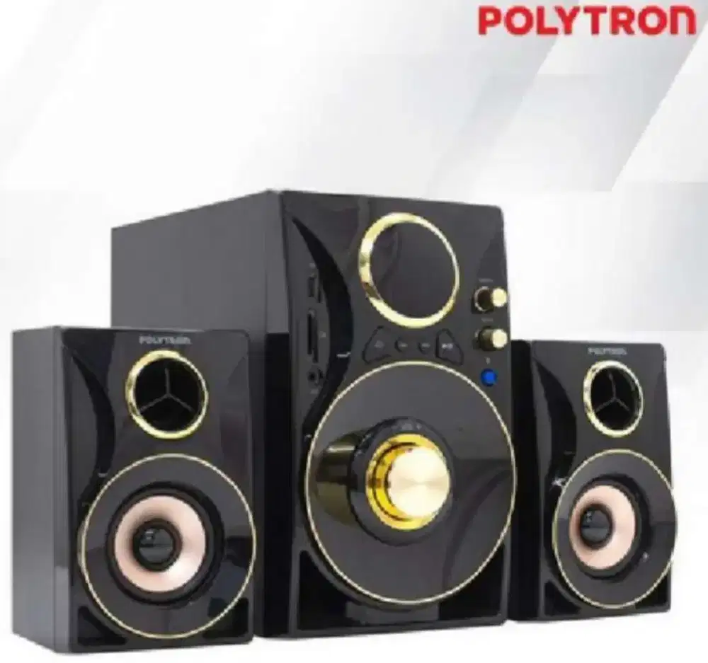 Speaker Polytron PMA9310/BG