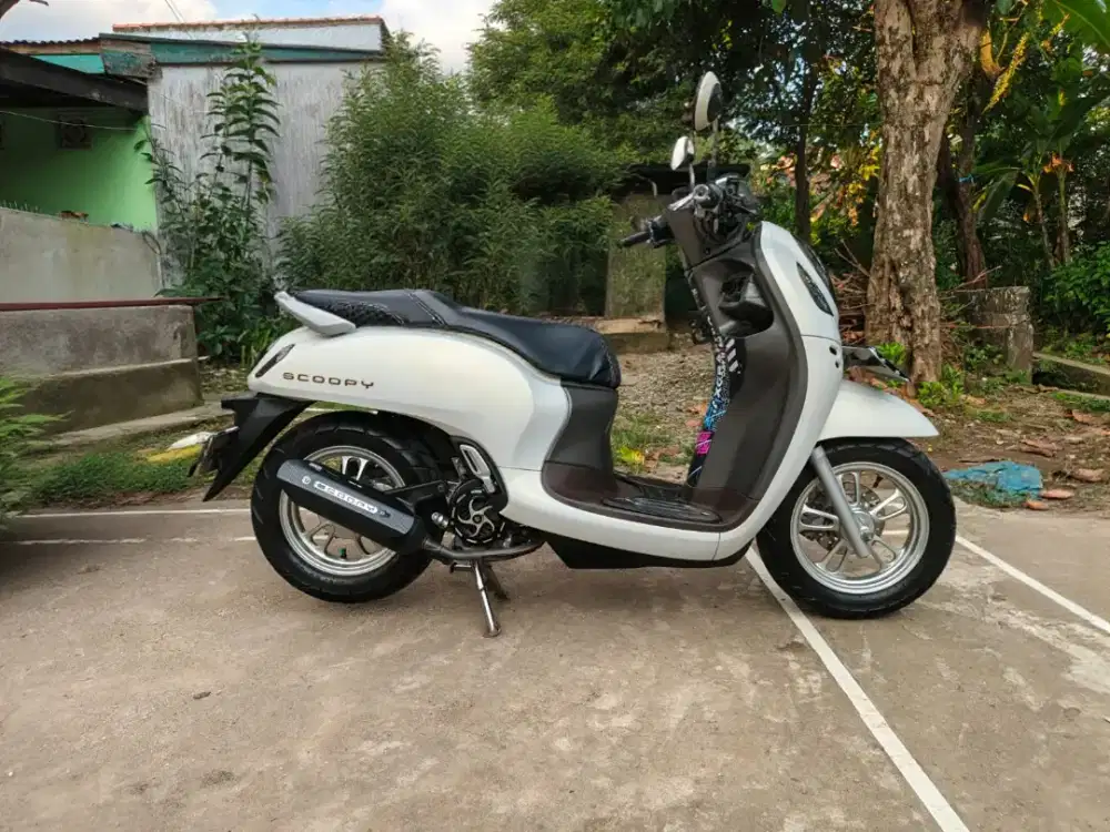 Honda Scoopy Prestige