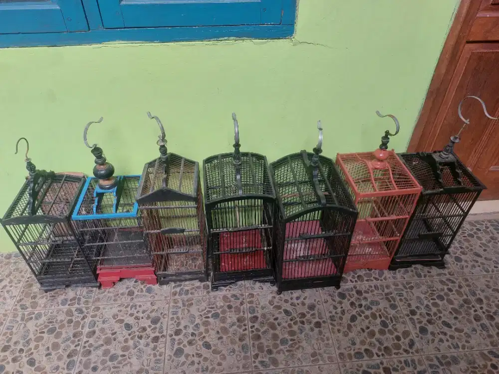 Kandang sangkar kolibri konin ciblek burcil pleci
