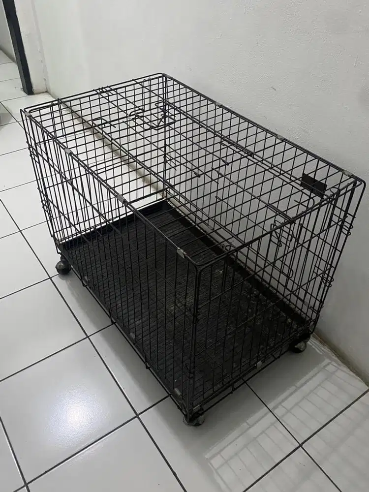 Kandang kucing lipat
