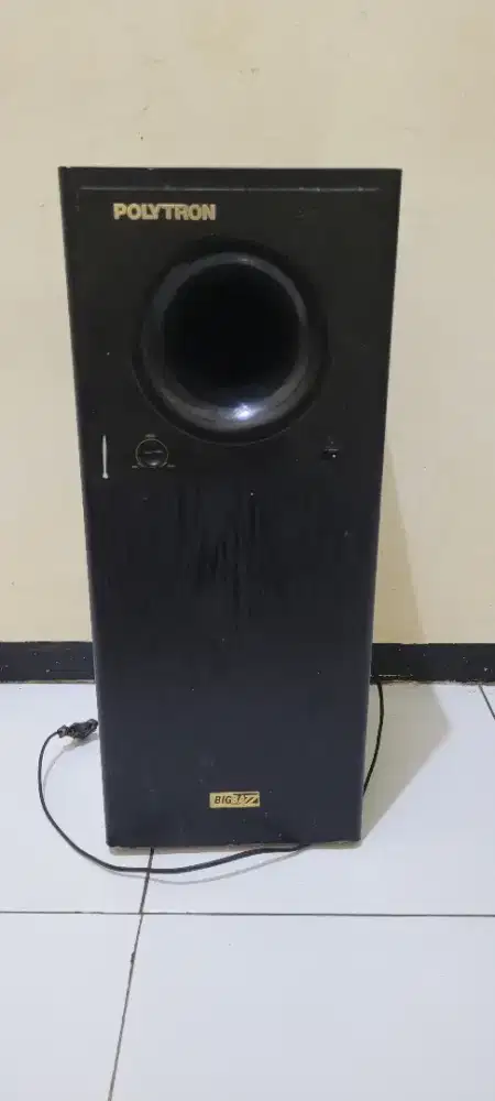 Polytron psw 500i