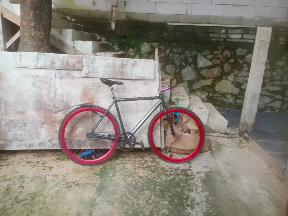 dijual sepeda fixie/coaster bike