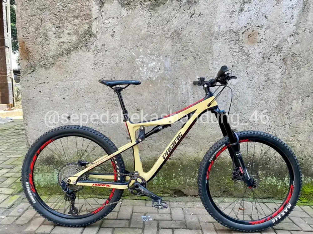 MTB/Sepeda Fulsus Pacific Skeleton LX 2.0 Carbon