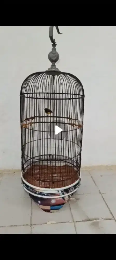 Kandang love bird pvc BnR
