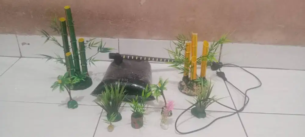asosoris aquarium