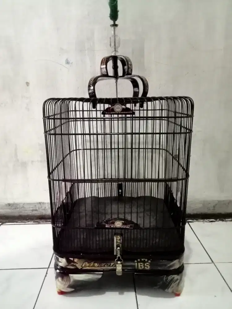 Kandang oval LBS 40x40