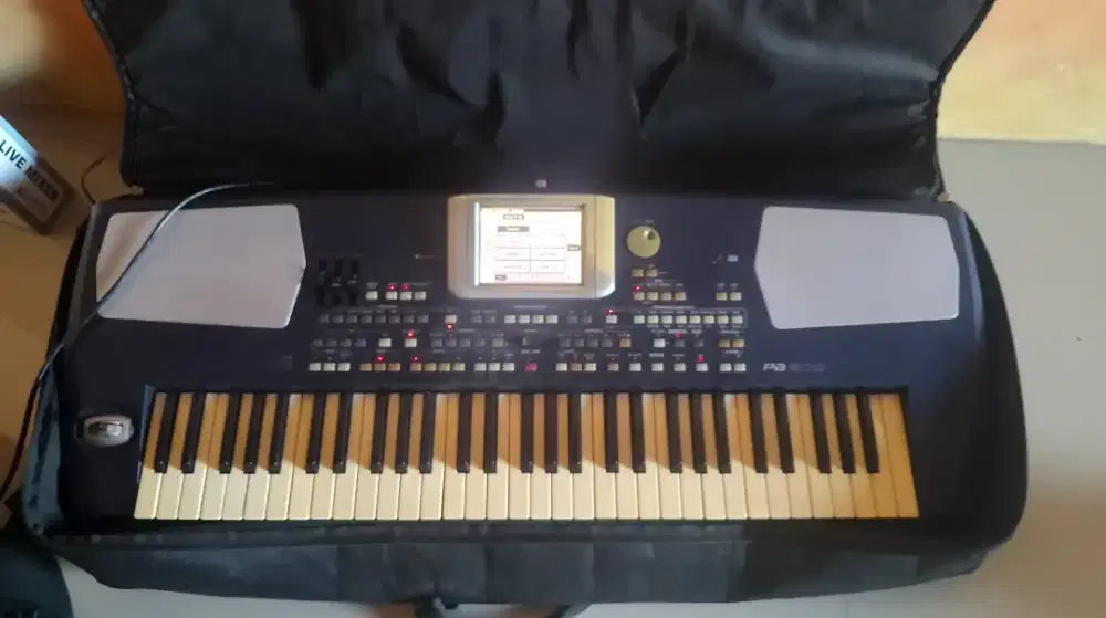 KORG pa500 normal