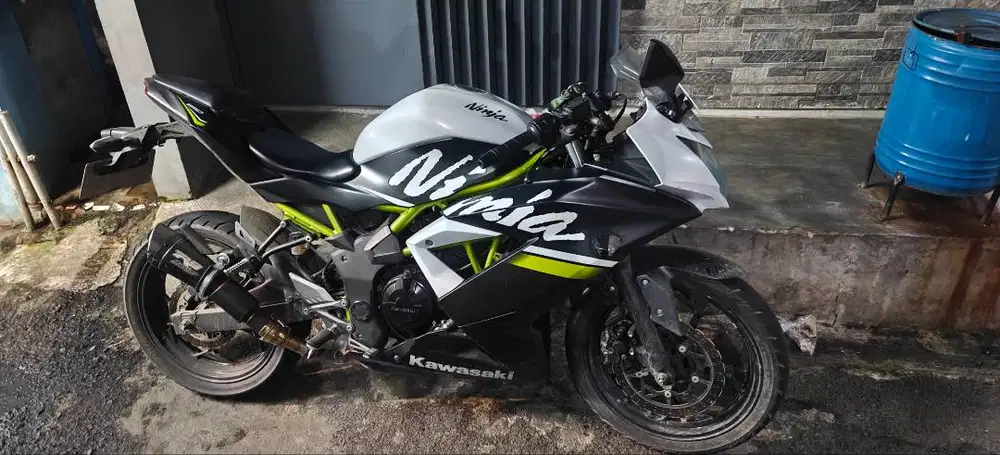 Kawasaki Ninja 250 mono (2021)
