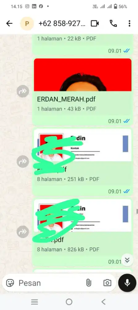 Jasa Pembuatan CV ONLINE PDF