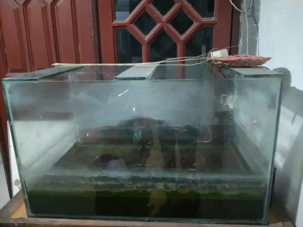 Aquarium kaca besar