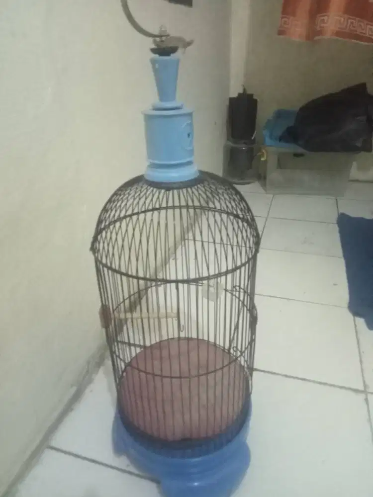 Kandang burung besi