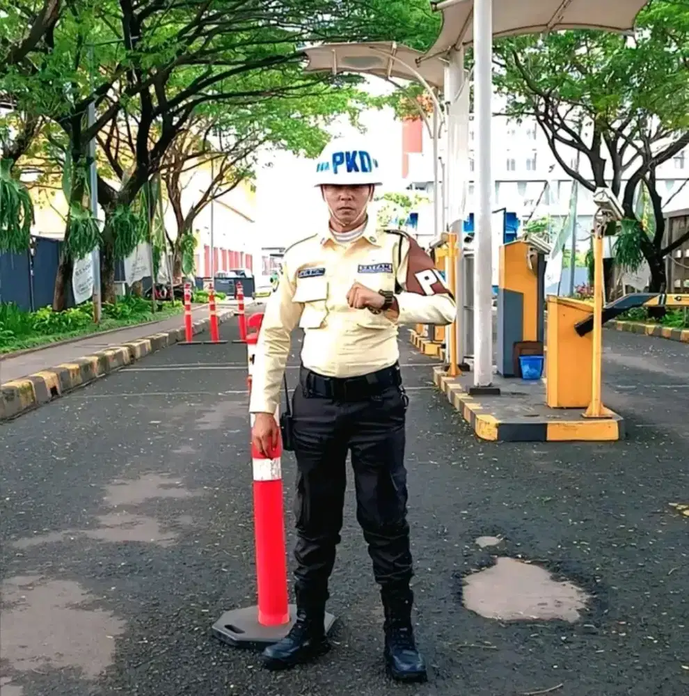 Saya sedang mencari pekerjaan