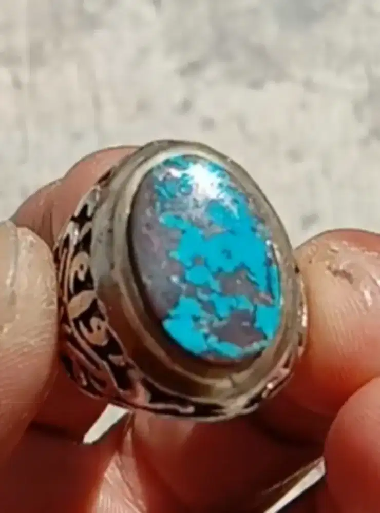 Jual pirus persia