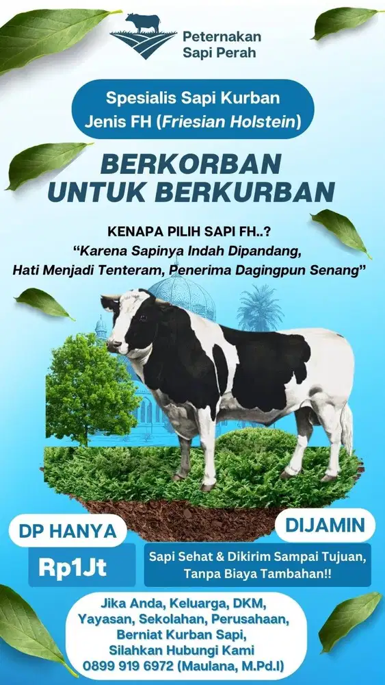 Sapi Kurban Jakarta