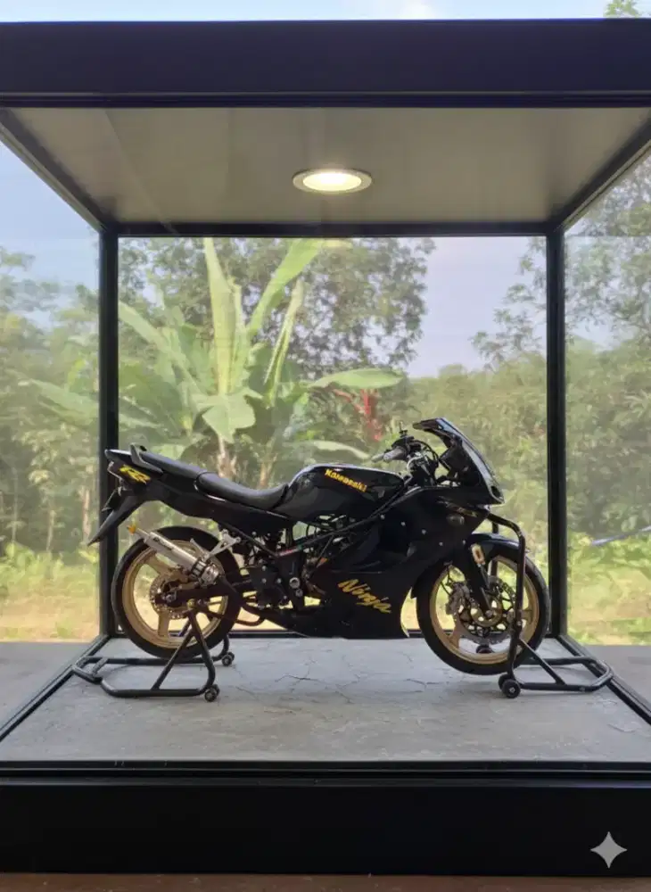 Ninja rr old 2008
