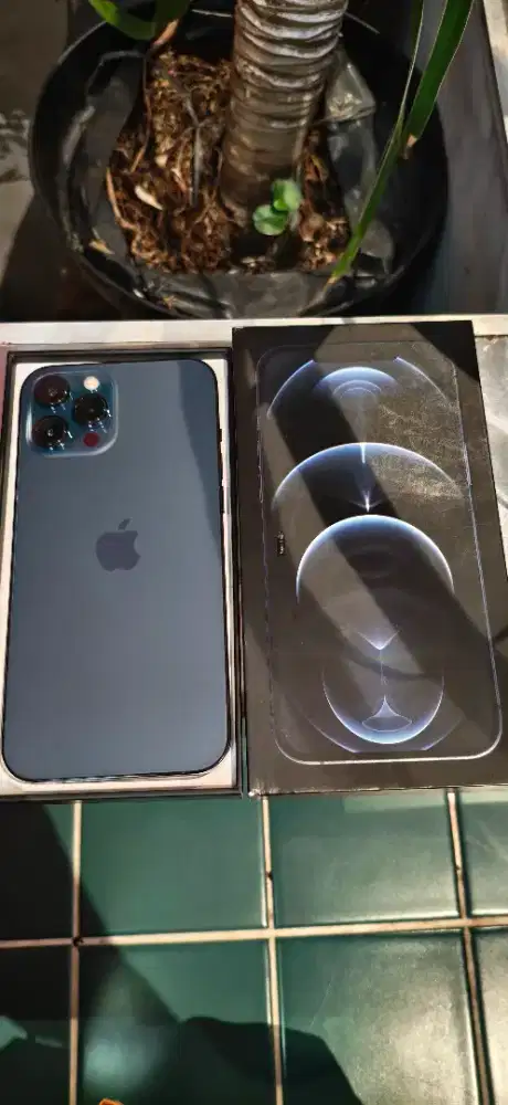 Iphone 12 pro max 128GB iBoX mulus terawat