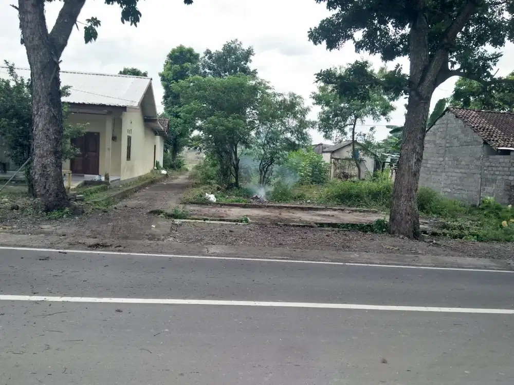 Jual Tanah Pinggir Jalan Raya Cangkringan, Puwomartani