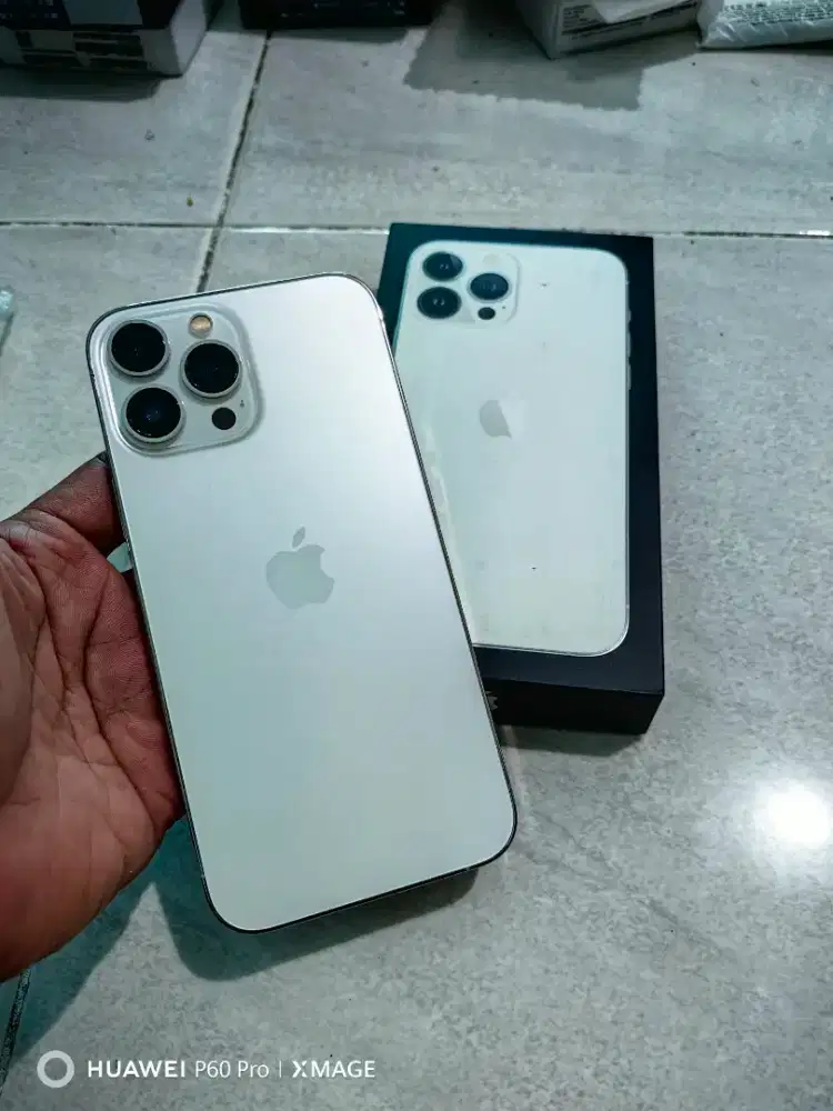 iphone 13 pro max 256 Gb