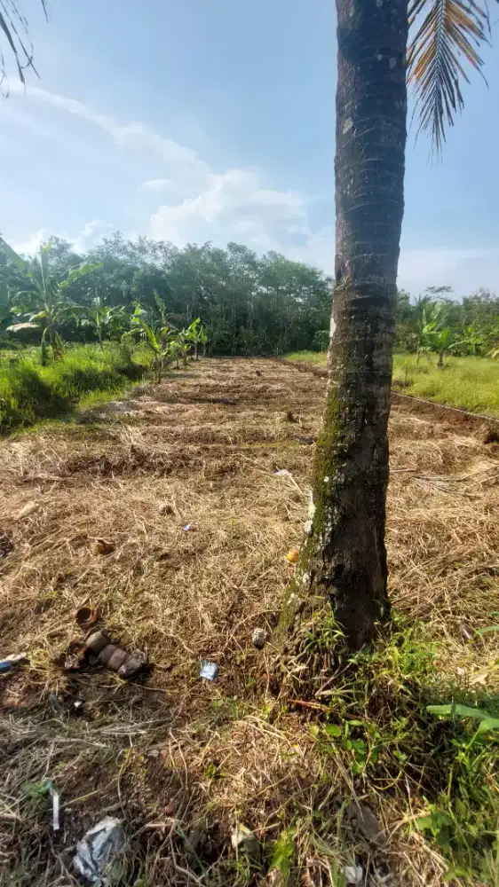 Dijual Tanah Murah Pinggir Jalan Raya