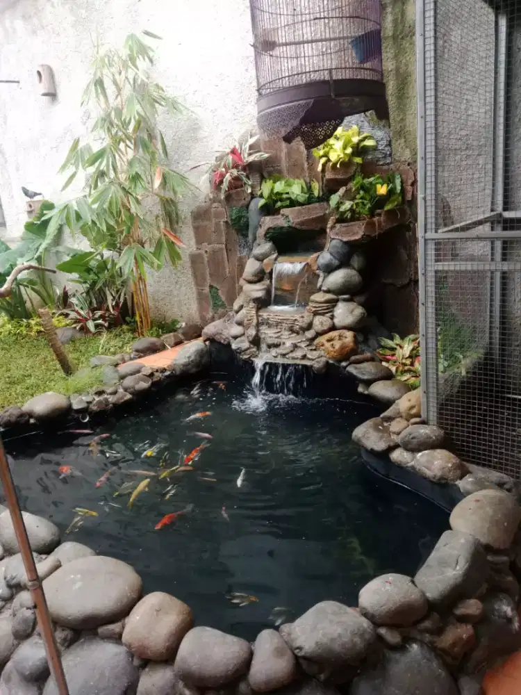 Tukang kolam koi