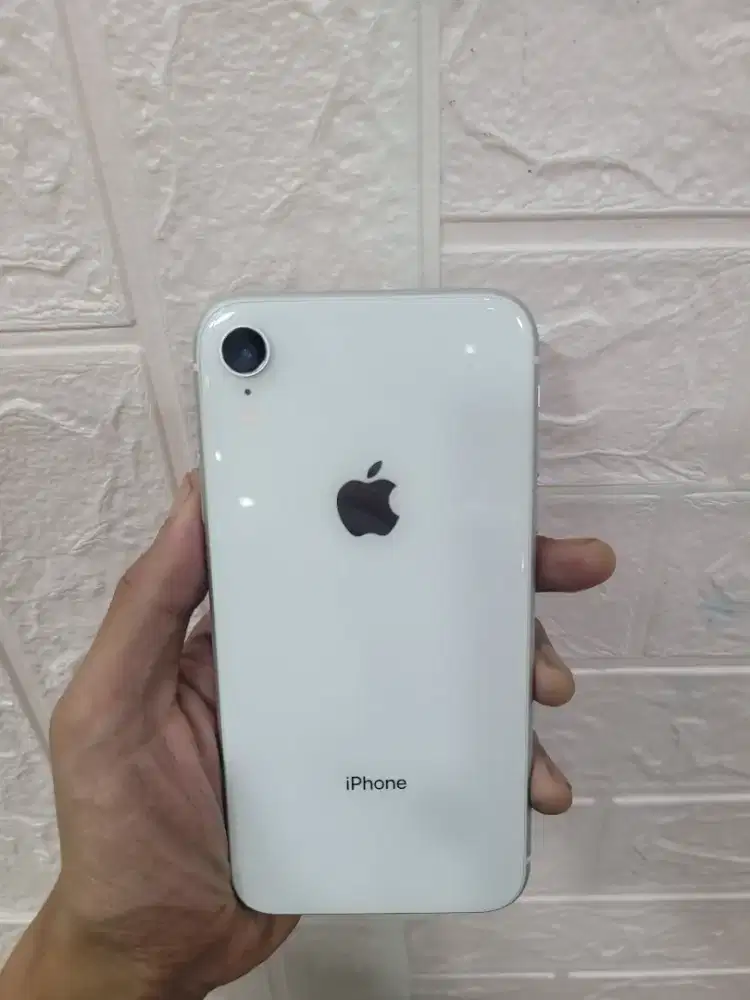 Iphone Xr 64 GB resmi Ibox