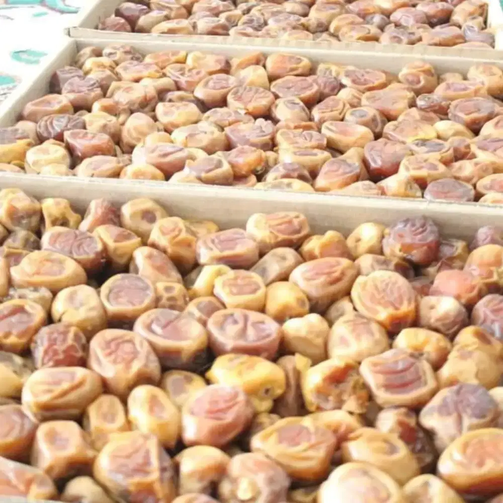 Kurma Sukkari Fresh