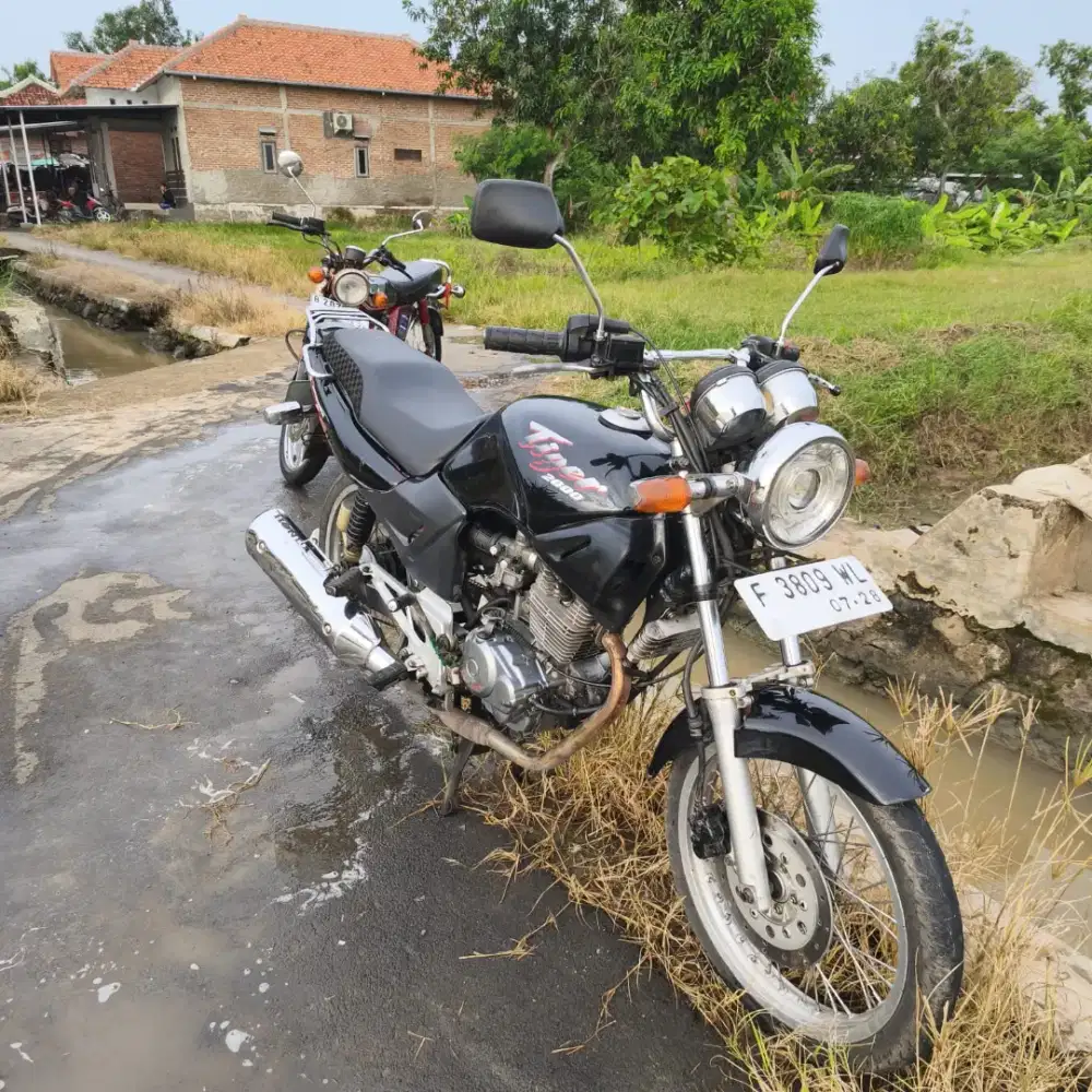 Honda Tiger 2000