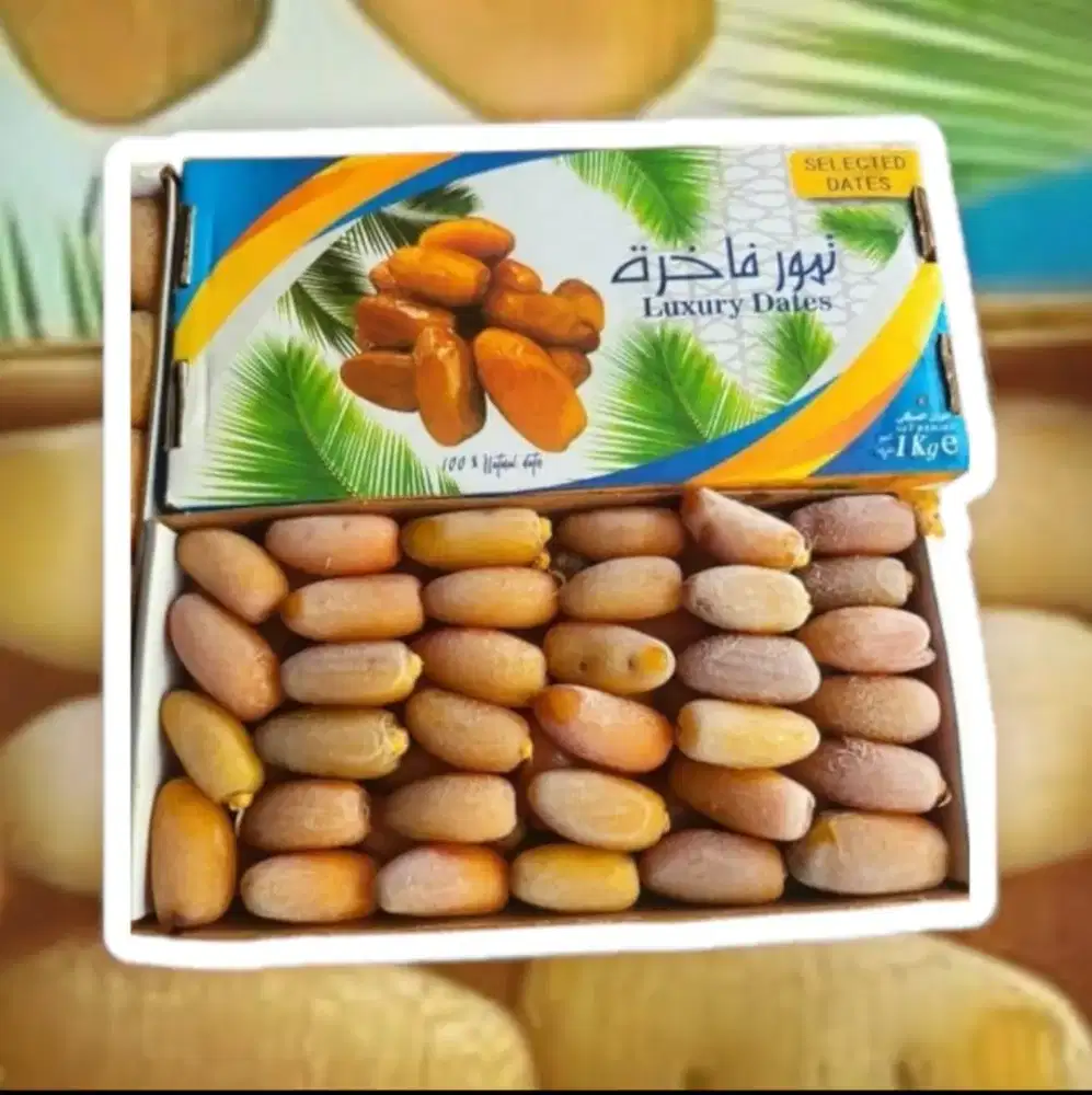 Ruthob Libya Fresh