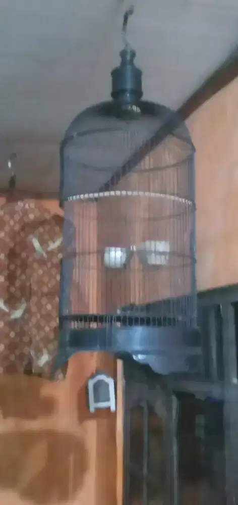 Kandang burung LB..KACER..JANGKRIK