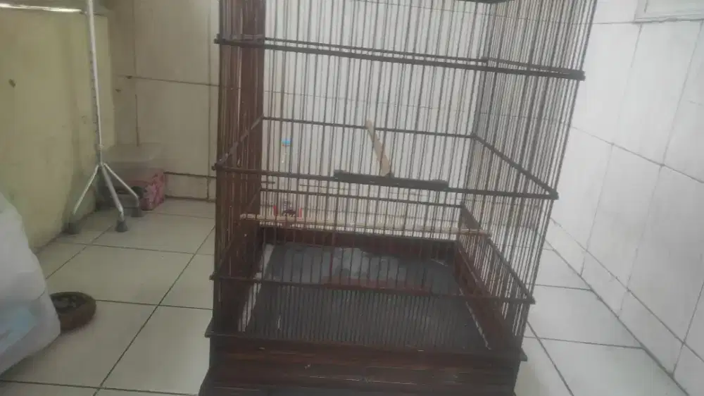 Ukuran 60 kurangan jati bagus