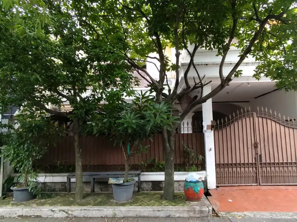 simpang darmo permai selatan