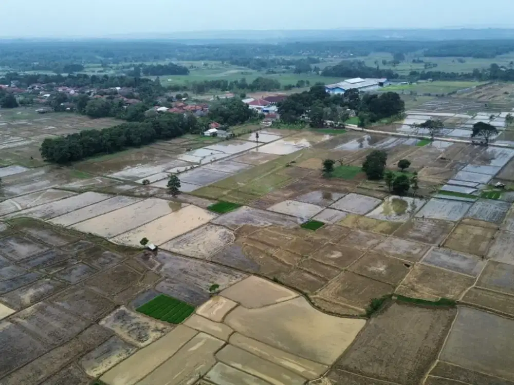 Tanah Zona Industri Subang dekat Pabrik Mobil Listrik di Cibogo