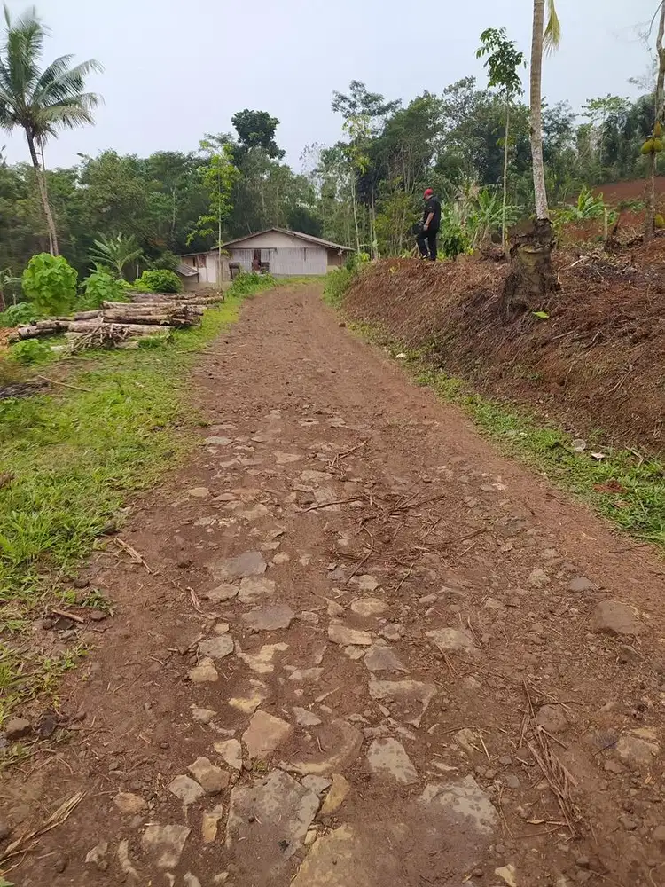 Dijual Tanah 1,43 Ha Cipasang Sumedang – Murah & Nego