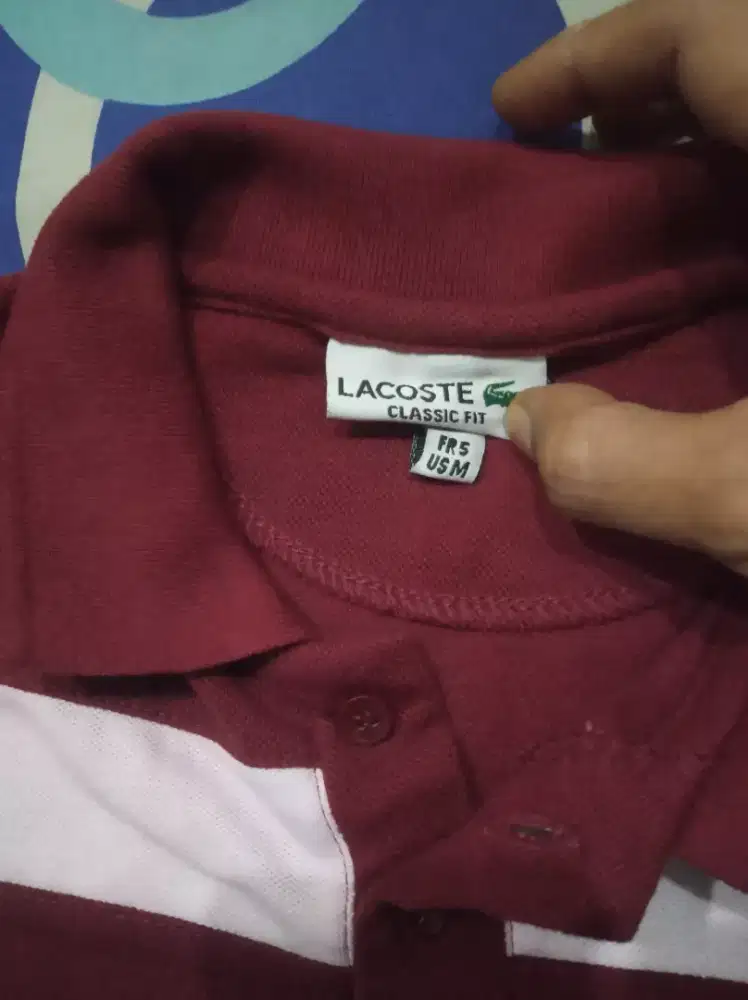 Kaos Lacoste Classic Fit size M