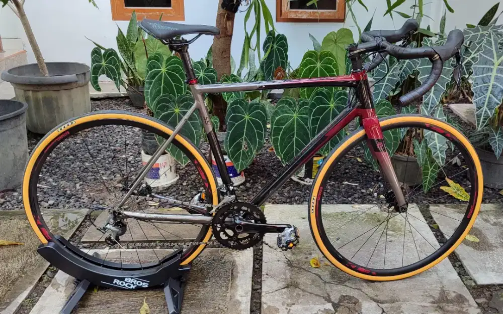 Roadbike Polygon Stratos S5D Tiagra Hidrolis 2x10 speed size L 54