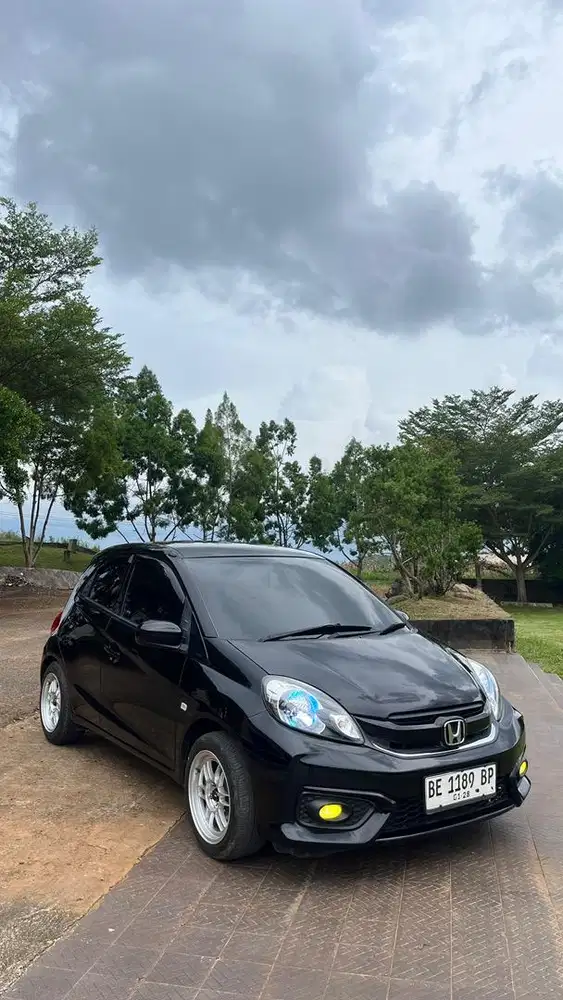 fs brio e manual 2017