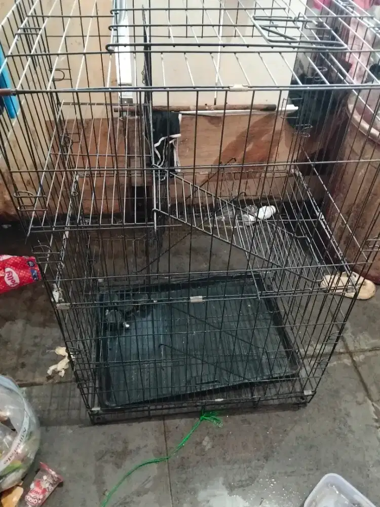 Kandang kucing bekas ada 2 yg satu tingkat