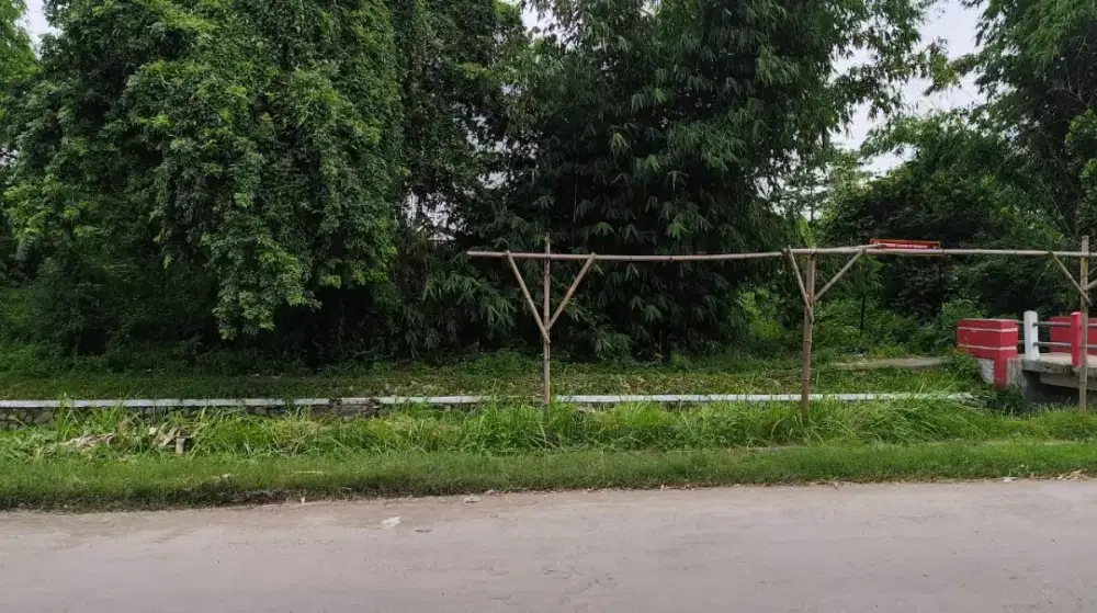 Tanah pekarangan