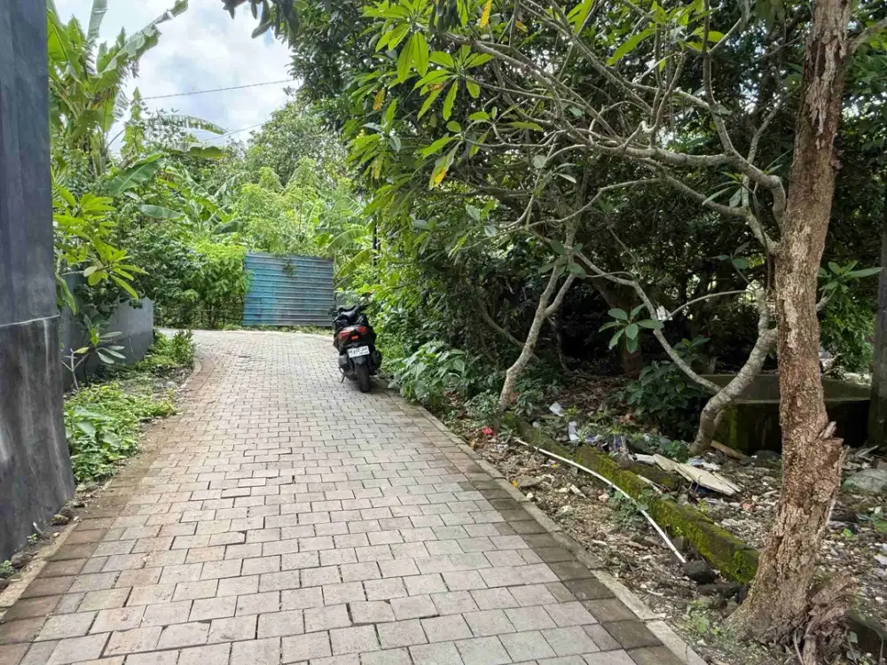 dijual tanah 5 are IDR 500 juta per are Kawasan kampus unud jimbaran Kuta Selatan Badung Bali