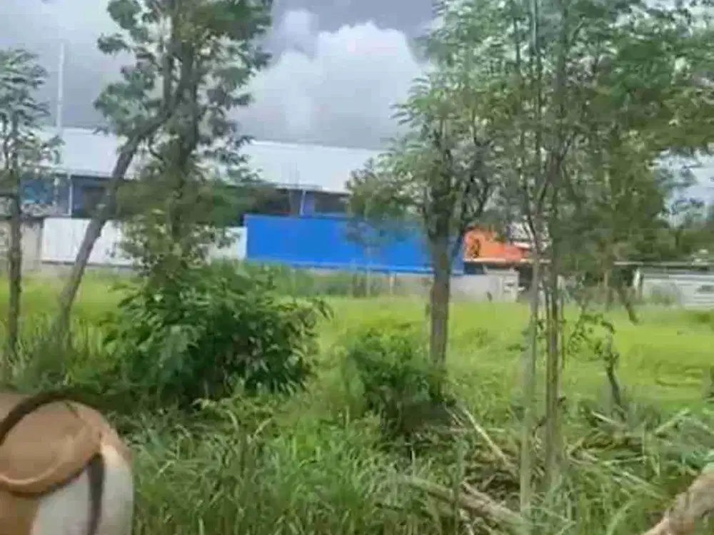 dijual tanah plot Kecil IDR 650 juta per are dekat kantor imigrasi & bypass jimbaran Kuta Selatan Badung Bali