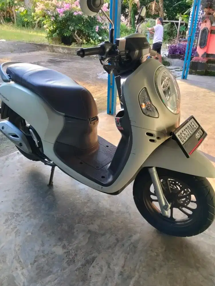 Scoopy remot 2023