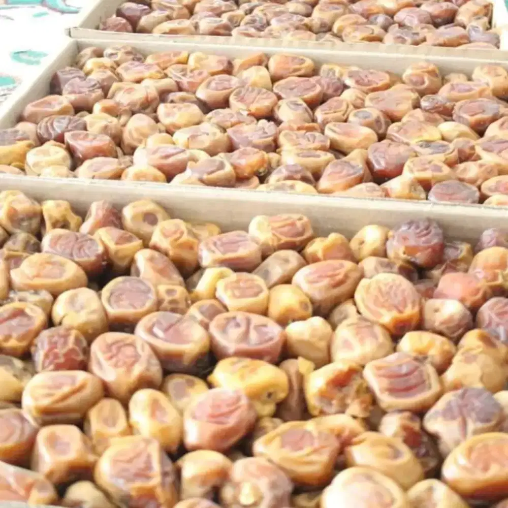 Kurma Sukkari Fresh