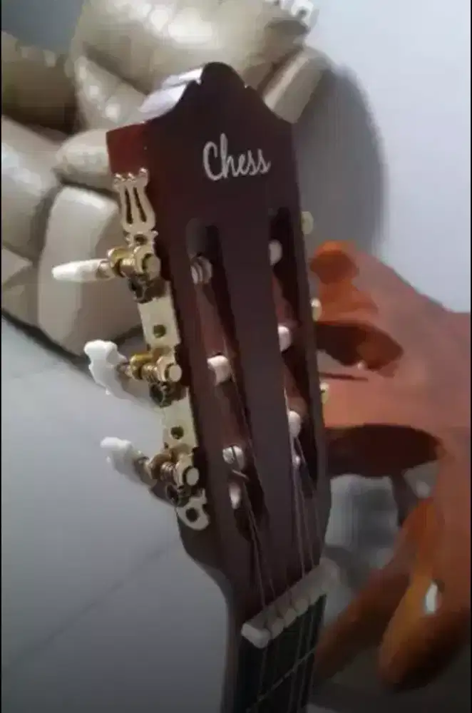 Gitar acustrik elektrik  clasik chees
