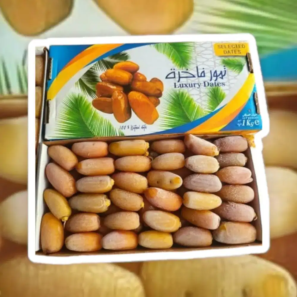 Ruthob Libya Fresh