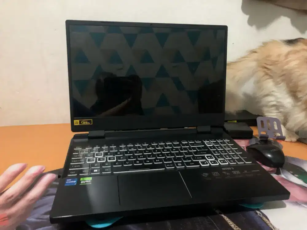 Acer Nitro AN515-58