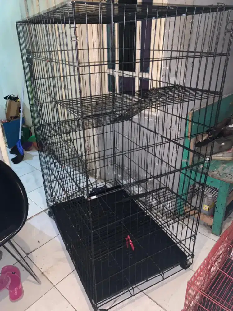 Kandang kucing tingkat jumbo